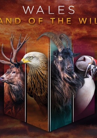 Wales: Land of the Wild