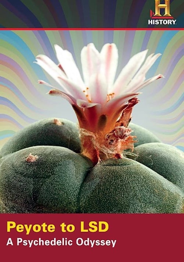 Peyote to LSD: A Psychedelic Odyssey