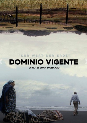 Dominio Vigente
