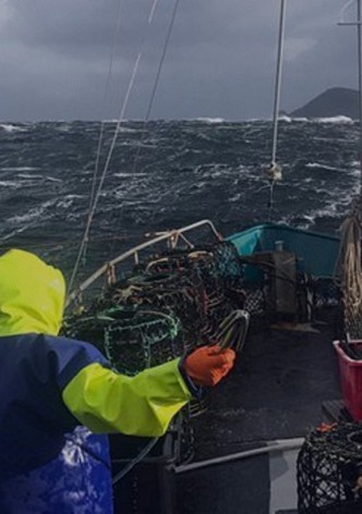 Australijscy poławiacze homarów