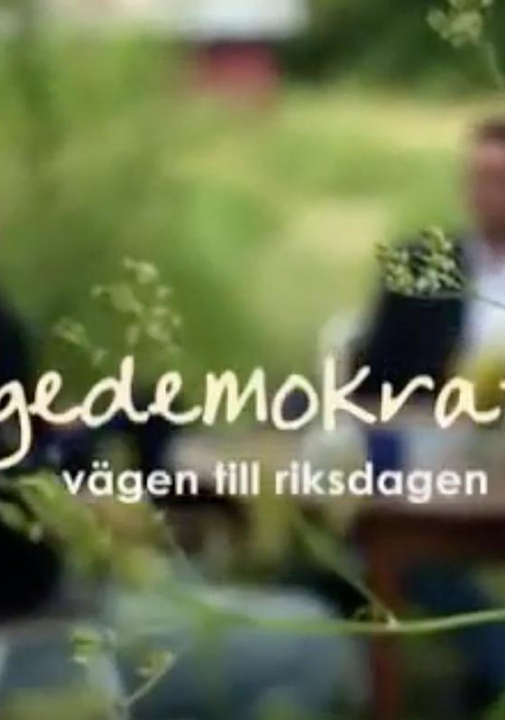 Sverigedemokraterna - Vägen till riksdagen