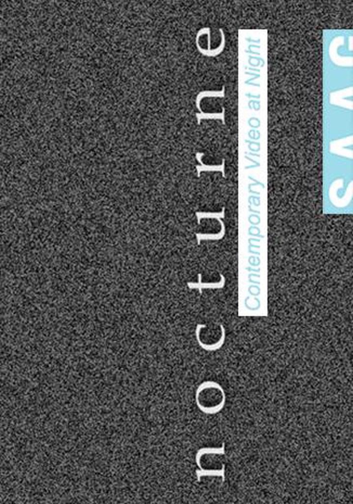 Nocturne: Contemporary Video at Night