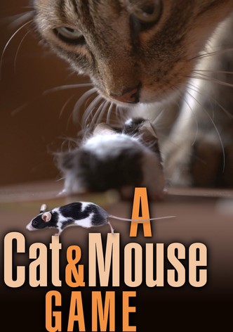 A Cat and Mouse Game