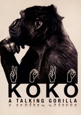 Koko: A Talking Gorilla