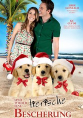 Und wieder eine tierische Bescherung