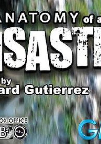 Anatomy of a Disaster