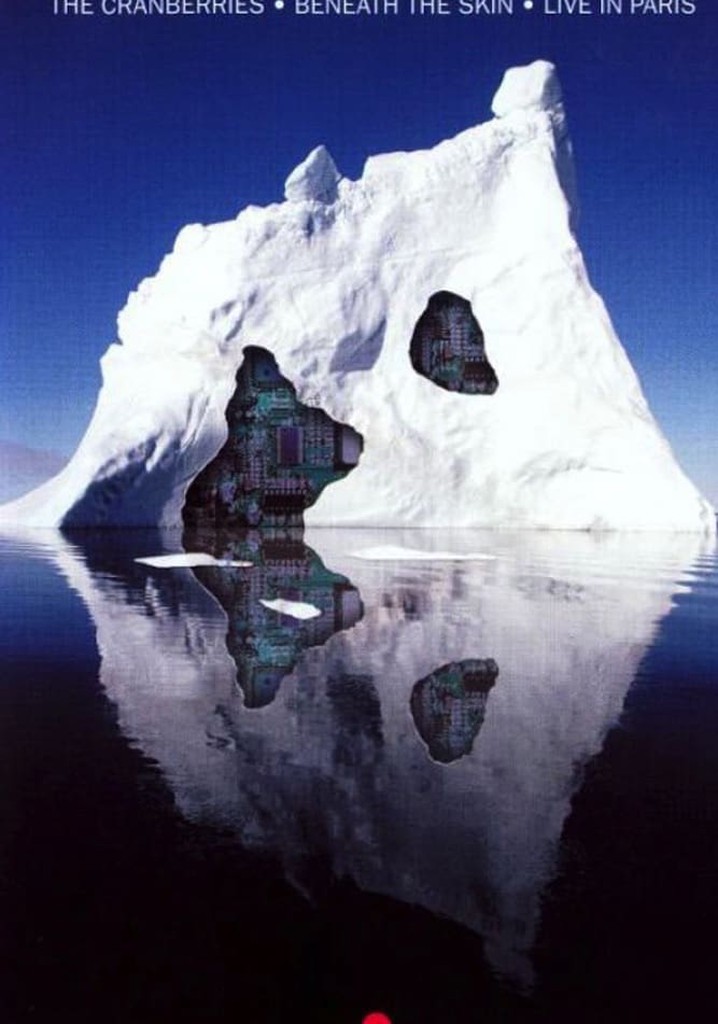 The Cranberries - Beneath the Skin - Live in Paris