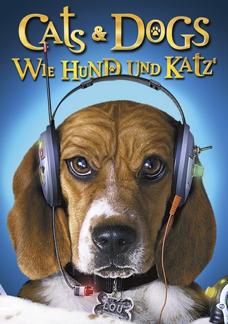 Cats & Dogs - Wie Hund und Katz