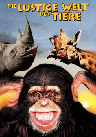 Die lustige Welt der Tiere