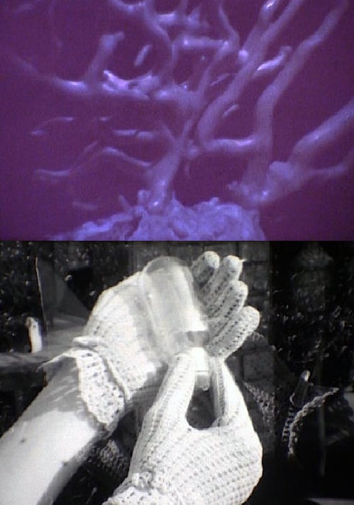 Her* Hands and His Forms