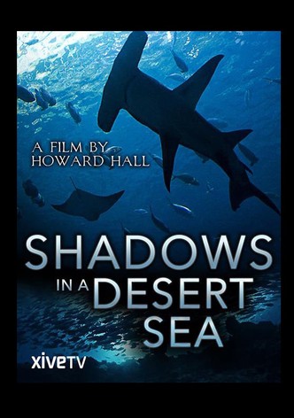 Shadows in a Desert Sea