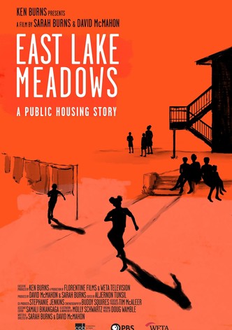 East Lake Meadows: A Public Housing Story