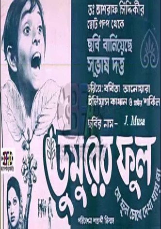 Dumurer Phul