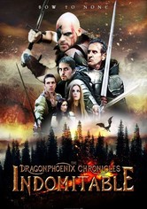 The Dragonphoenix Chronicles