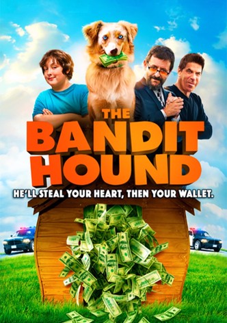 The Bandit Hound