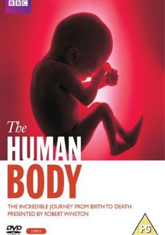 The Human Body