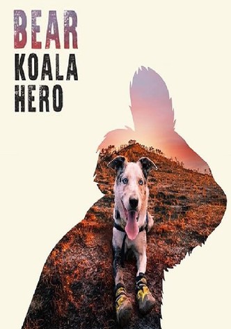 Bear: Koala Hero