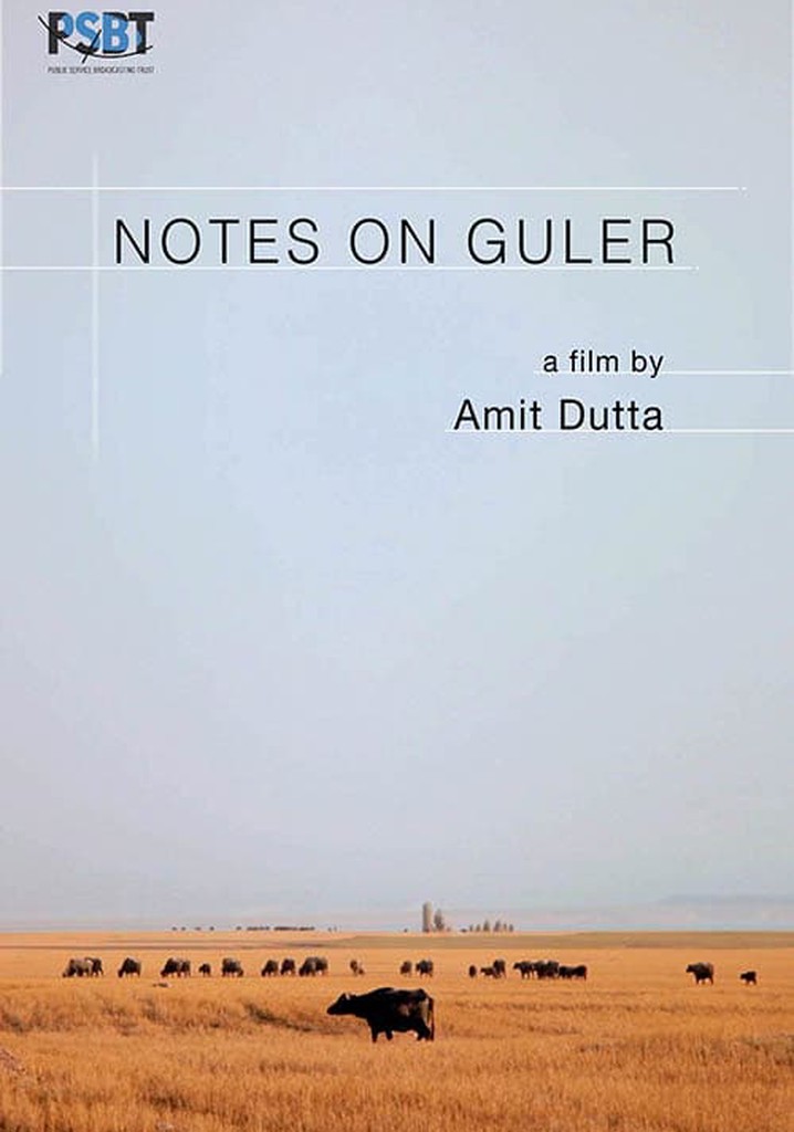 Notes on Guler