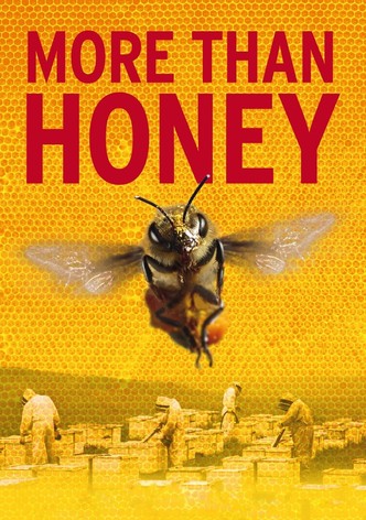 More Than Honey