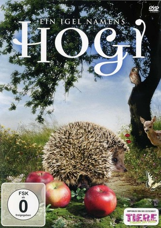 Ein Igel namens Hogi