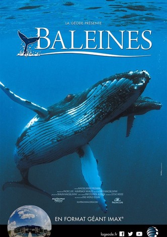 Baleines