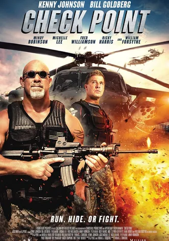 Check Point poster