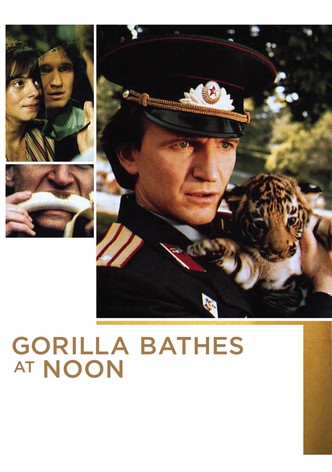 Gorilla Bathes at Noon