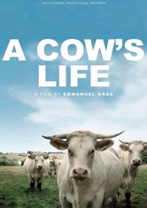 A Cow's Life [OV]