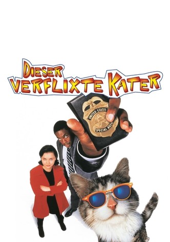 Dieser verflixte Kater