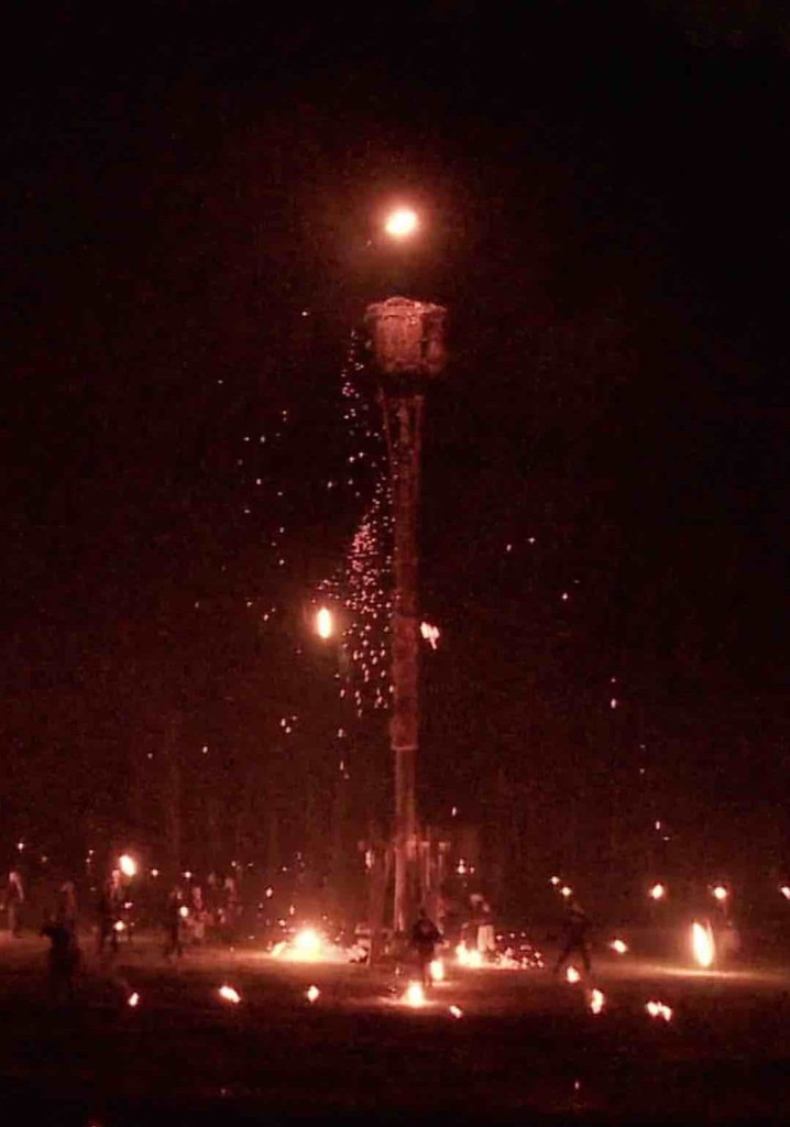 The Thread of Red Cocoons