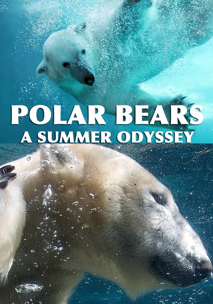 Polar Bears: A Summer Odyssey