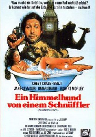 Ein Himmelhund von einem Schnüffler