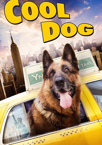 Cool Dog - Rin Tin Tin a New York