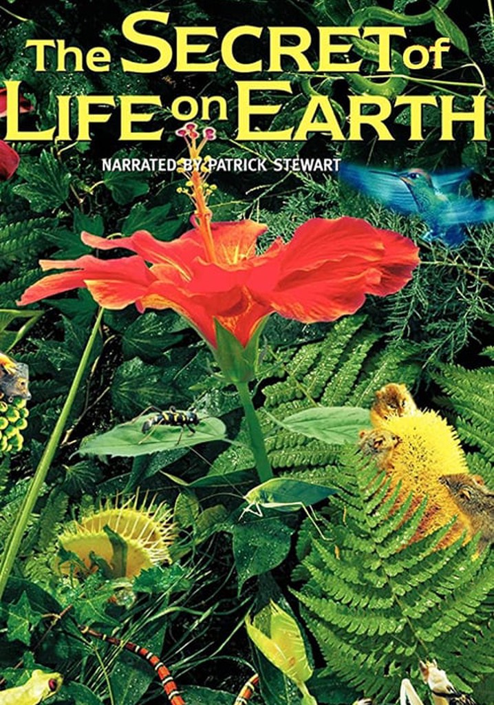 The Secret of Life on Earth