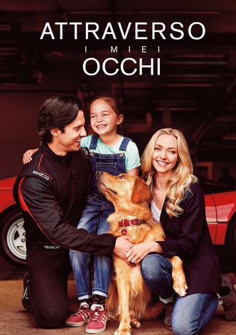 Attraverso i miei occhi
