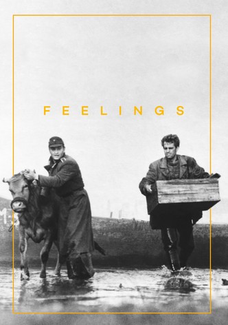 Feelings