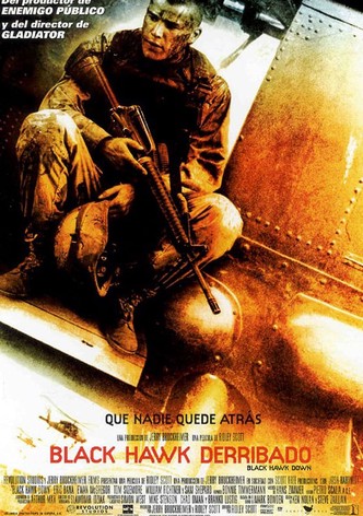 Black Hawk derribado