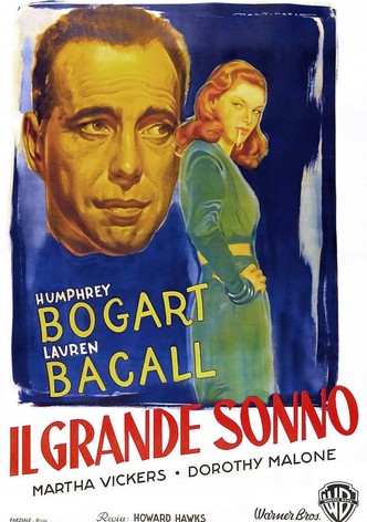 Il grande sonno