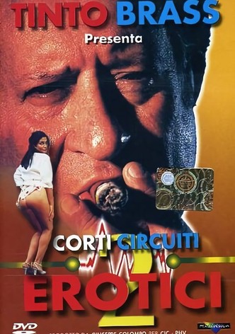 Corti circuiti erotici Vol.2