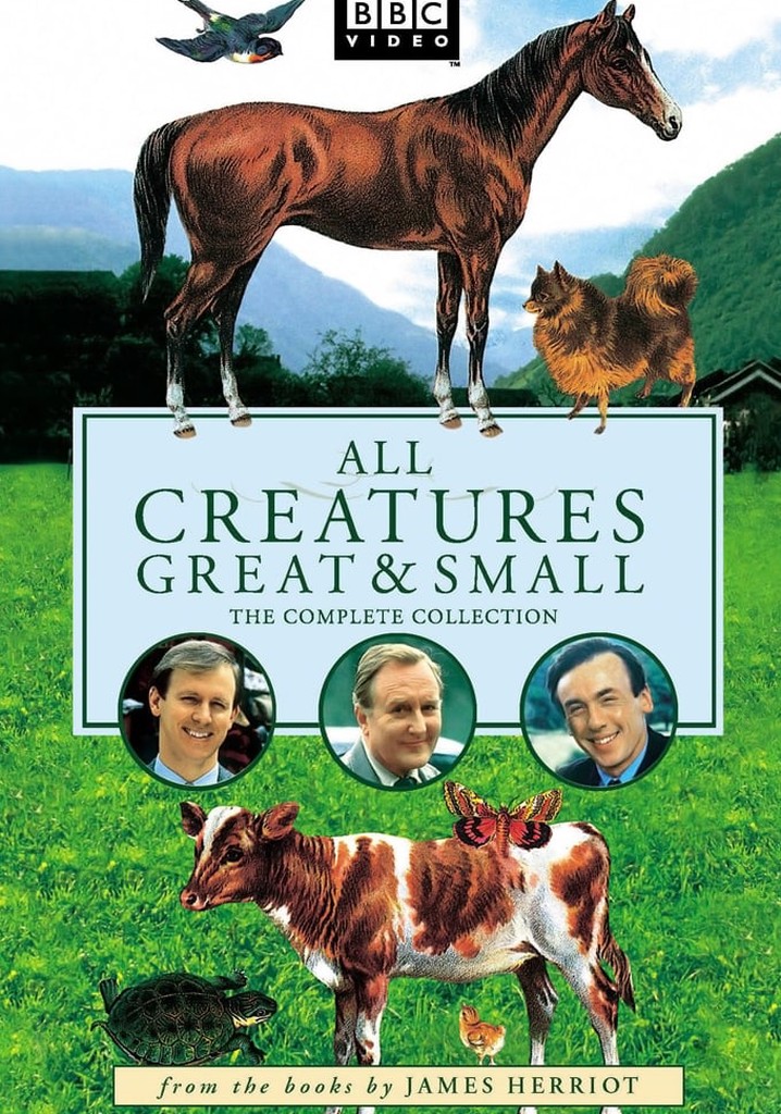 All Creatures Great and Small - streaming online