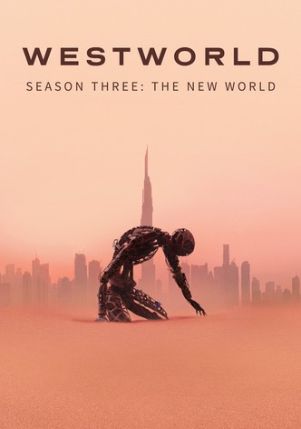 Westworld tv series netflix new arrivals