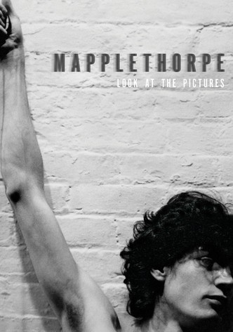 Mapplethorpe: Look at the Pictures