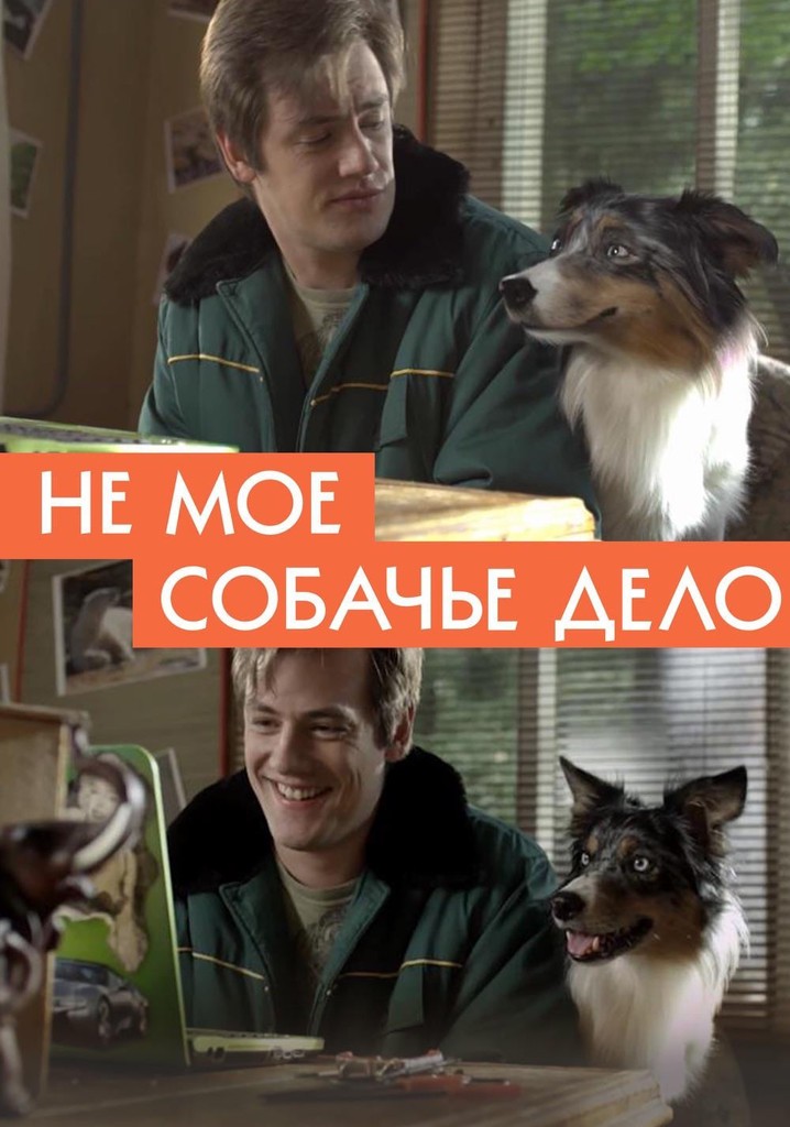 It's Not My Freaking Business