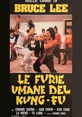 Le furie umane del kung fu