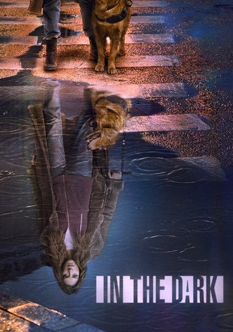 In The Dark - Staffel 2