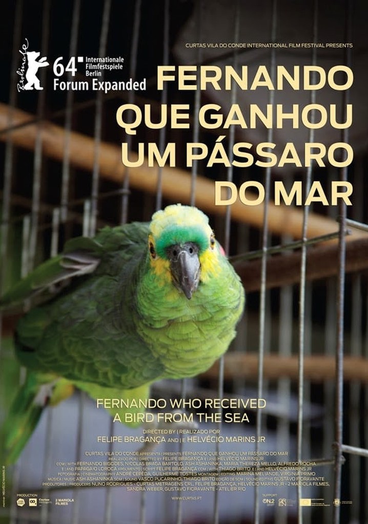 Fernando Who Received a Bird from the Sea