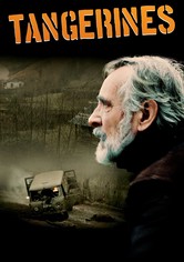 Tangerines