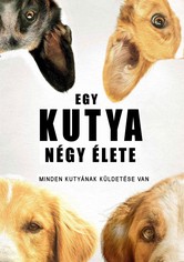 Kutyabajnok Stream Hol Lathato A Film Online