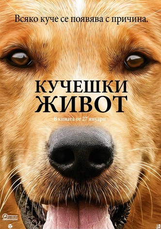 Кучешки живот