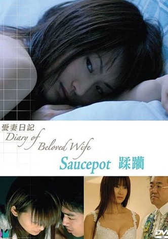 Diary of Beloved Wife: Saucepot